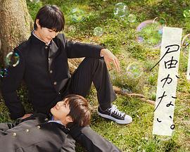 罗湖区网站优化推广服务